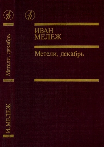 Метель, декабрь