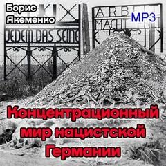 Курс лекций Концентрационный мир нацистской Германии