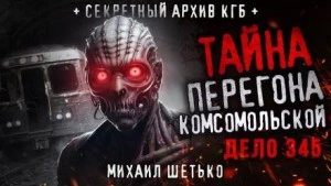 Дело №345. Перегон Комсомольской