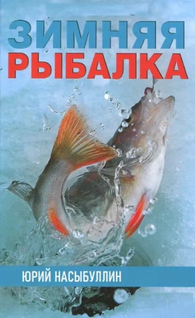Зимняя рыбалка