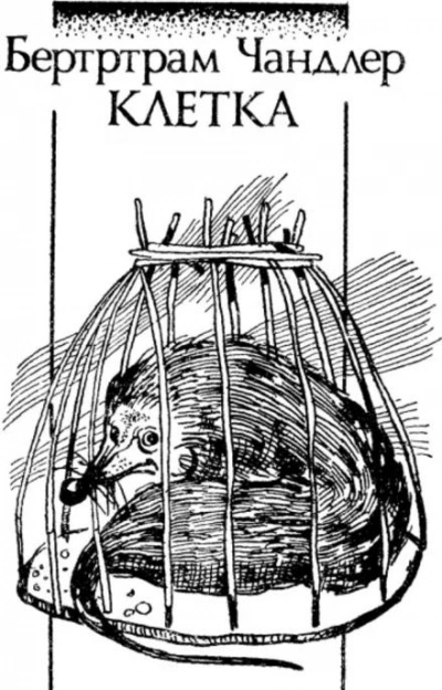 Клетка