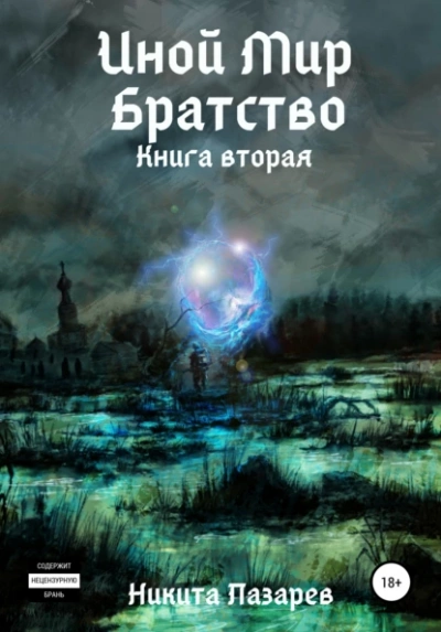 Иной мир. Братство. Книга 2