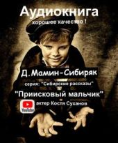 Приисковый мальчик