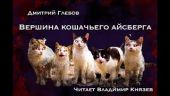 Вершина кошачьего айсберга