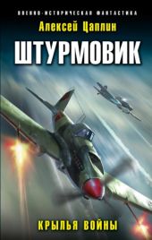 Штурмовик