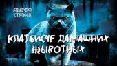 Клатбисче дамашних жывотных