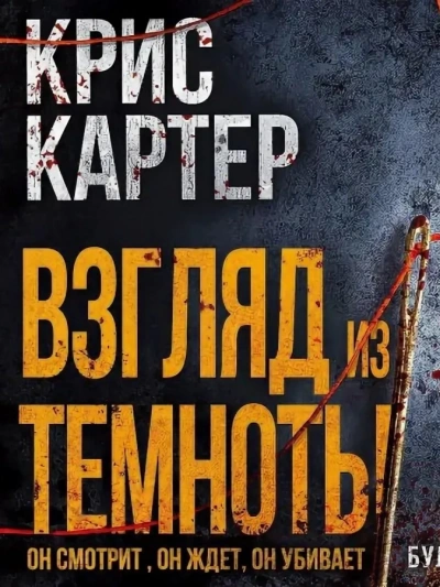 Взгляд из темноты