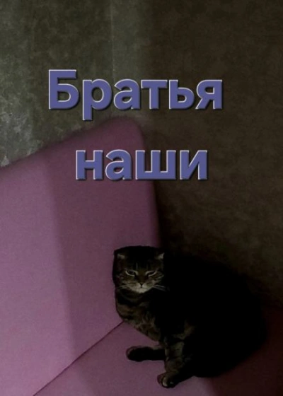 Братья наши