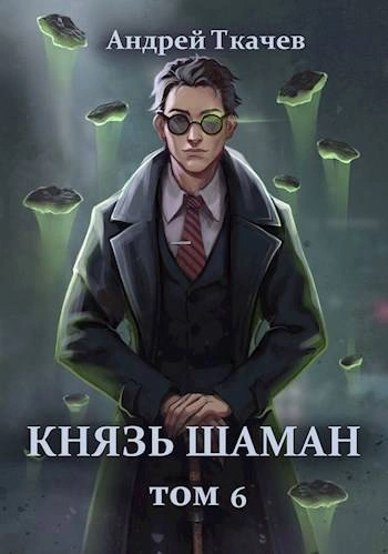 Князь шаман. Книга 6