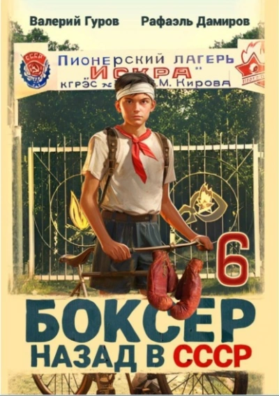 Боксер: Назад в СССР. Книга 6