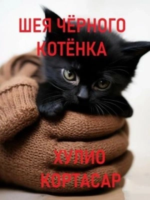 Шея чёрного котёнка