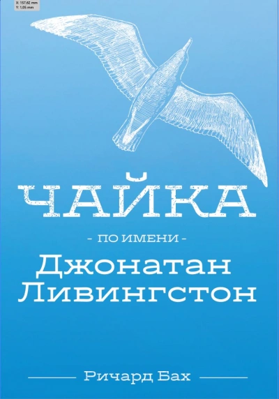 Чайка по имени Джонатан Ливингстон