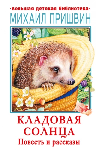 Кладовая Солнца