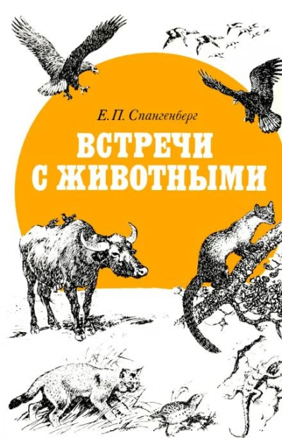 Встречи с животными